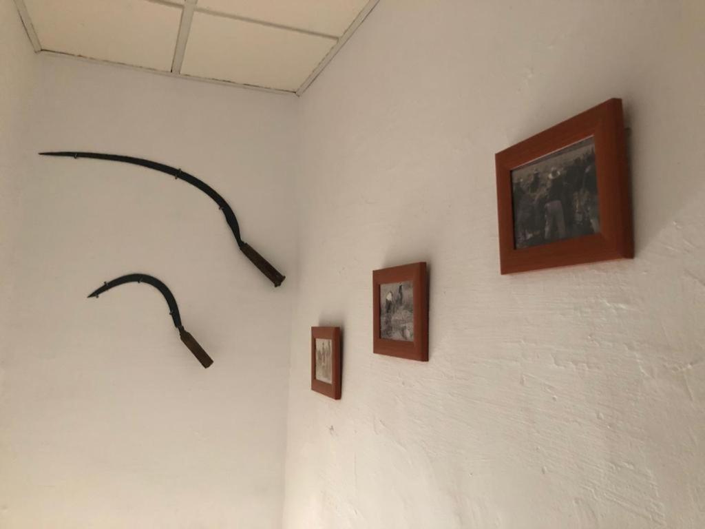 Masia Tarranc Els Muntells Esterno foto